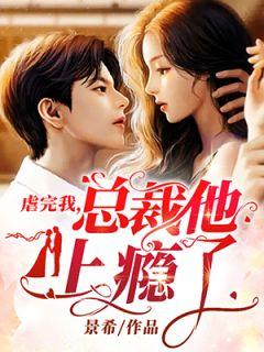 沐宁希夜之昂免费阅读