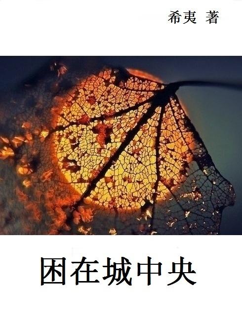 困在城中央希夷好看吗