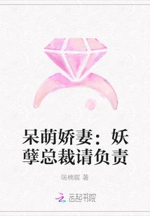 妖孽总裁专宠呆荫妻