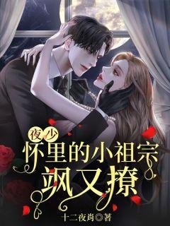 容七夜南深免费阅读无弹屏