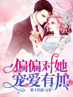 女主叫沈荔男主叫顾停
