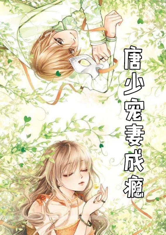 唐少宠妻无度免费