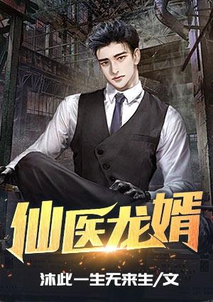 仙医龙婿全集视频