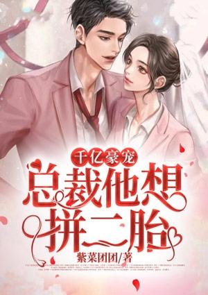 千亿豪宠总裁的二婚新妻