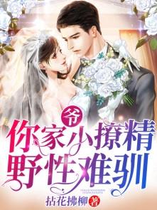 爷你家小撩精野性难驯免费阅读