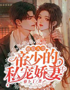 帝少私宠甜妻免费阅读全文