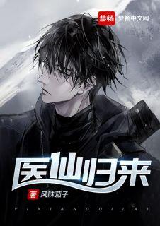 主人公叫叶风的是什么