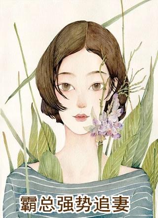 霸总强势追妻真人版