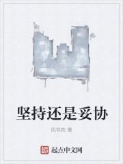 坚持与妥协800字作文