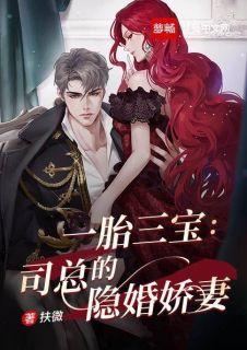 一胎三宝司夜爵姜笙无广告
