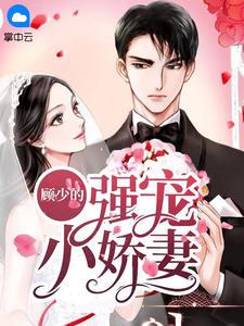 顾少独宠小娇妻完整版
