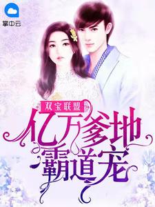 女主叫陆惜晚