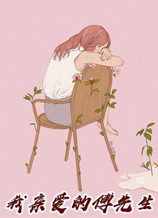 我亲爱的傅先生结局