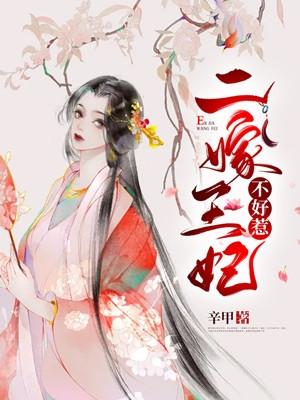 二嫁王妃不好惹穿越嫁人