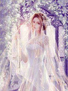 夏星辰司蔺的叫什么名字