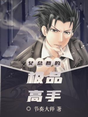女总裁的极品高手TXT