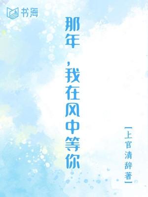 我在风中等你歌名叫什么