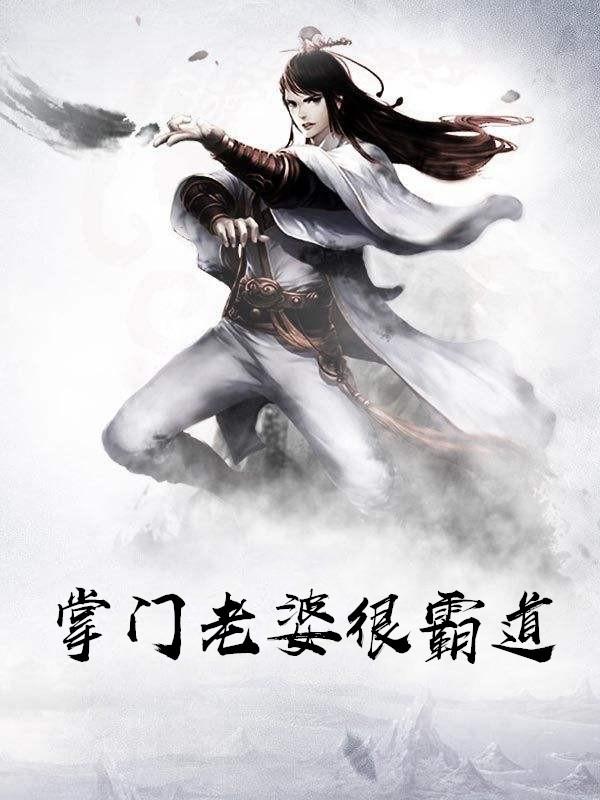 掌门老婆经典片段