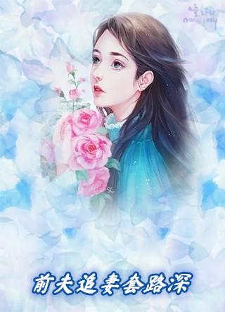 前夫追前妻
