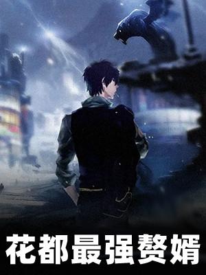 最强赘婿都市