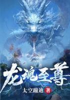 龙魂至尊萧琰艾薇免费阅读正版