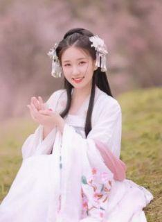 宦妃夫人