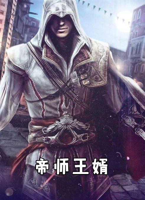 帝师王婿2