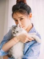 夫人又出来野了角色