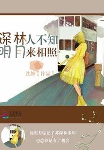 深林人不知明月来相照的作者是谁有什么之称