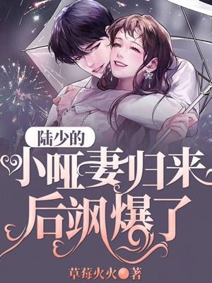 陆少的暖婚小娇妻