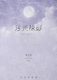浮光掠影原文