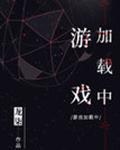 游戏加载中txt完整+番外 百度