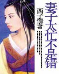 妻子太忙不是错原版
