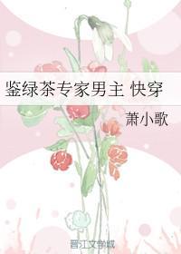 鉴定绿茶男主专家