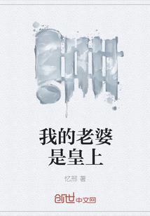 我的老婆是皇上免费阅读