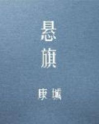 悬旗 康城 无错版全文阅读