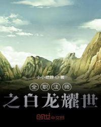 全职法师之白龙耀世 第四百章 终会成为