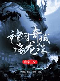 神澜奇域海龙珠下一部是什么