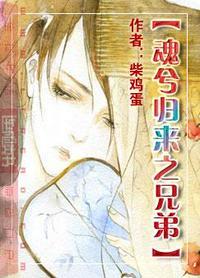 魂兮归来之兄弟 完结+番外