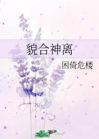 貌合神离 困倚危楼讲了什么