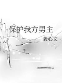 保护我方男主 作者龚心文