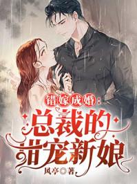错嫁成婚奏舒褚临沉