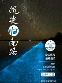 沉光归南路完结番外txt