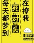 每天晚上都梦到死对头在撩我