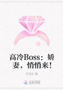 高冷boss抱回家全文免费阅读