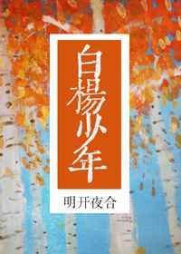 白杨少年剧透