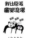 我让反派痛哭流涕的