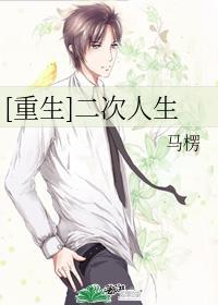 重生之我的书记人生二部