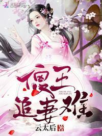 傻王追妻难免阅读