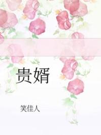 贵婿笑佳人txt链接